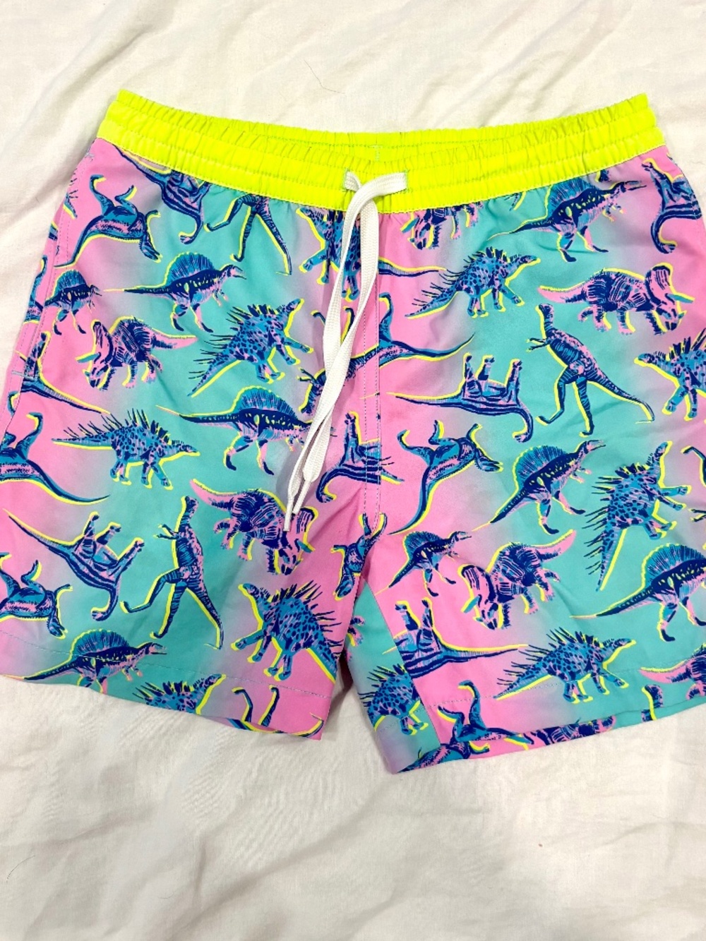 chubbies Boys Swim Trunks Bathing Suit Dinosaurs Dino Delights Small Inseam 5.5"